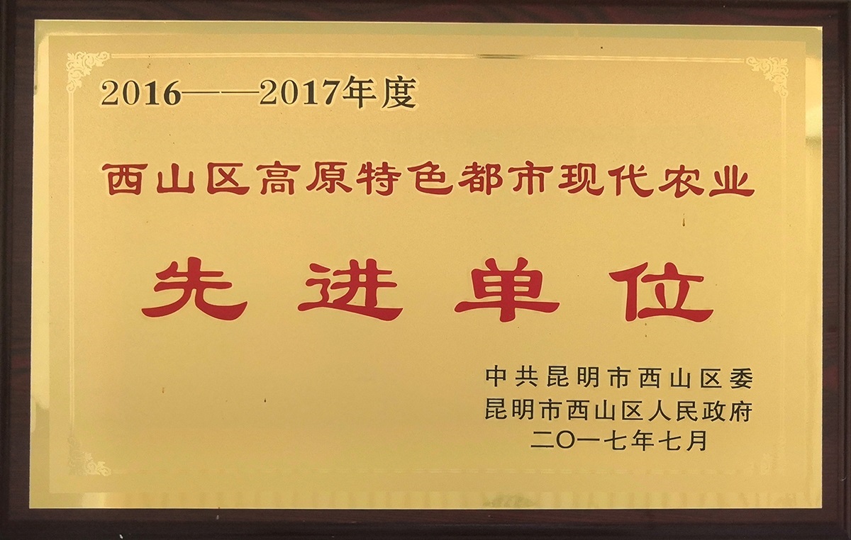 高原特色都市現(xiàn)代化農(nóng)業(yè)先進(jìn)單位1.jpg