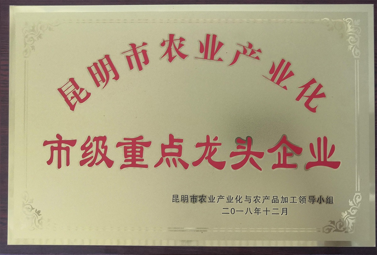 市級(jí)重點(diǎn)龍頭企業(yè)1.jpg