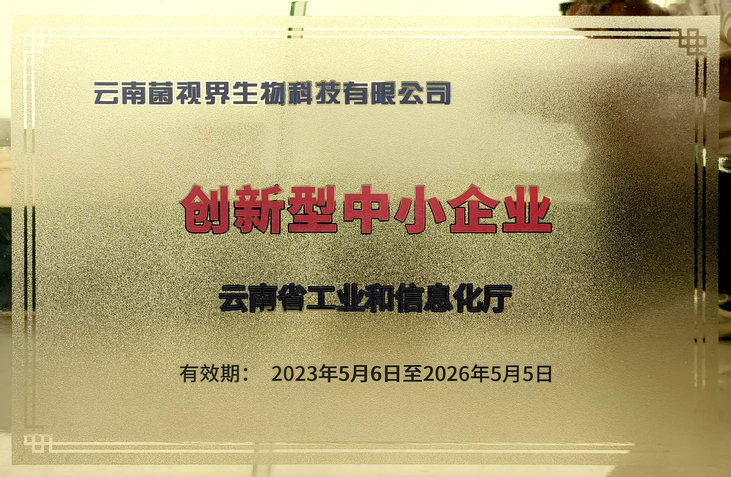 創(chuàng)新型中小企業(yè).jpg